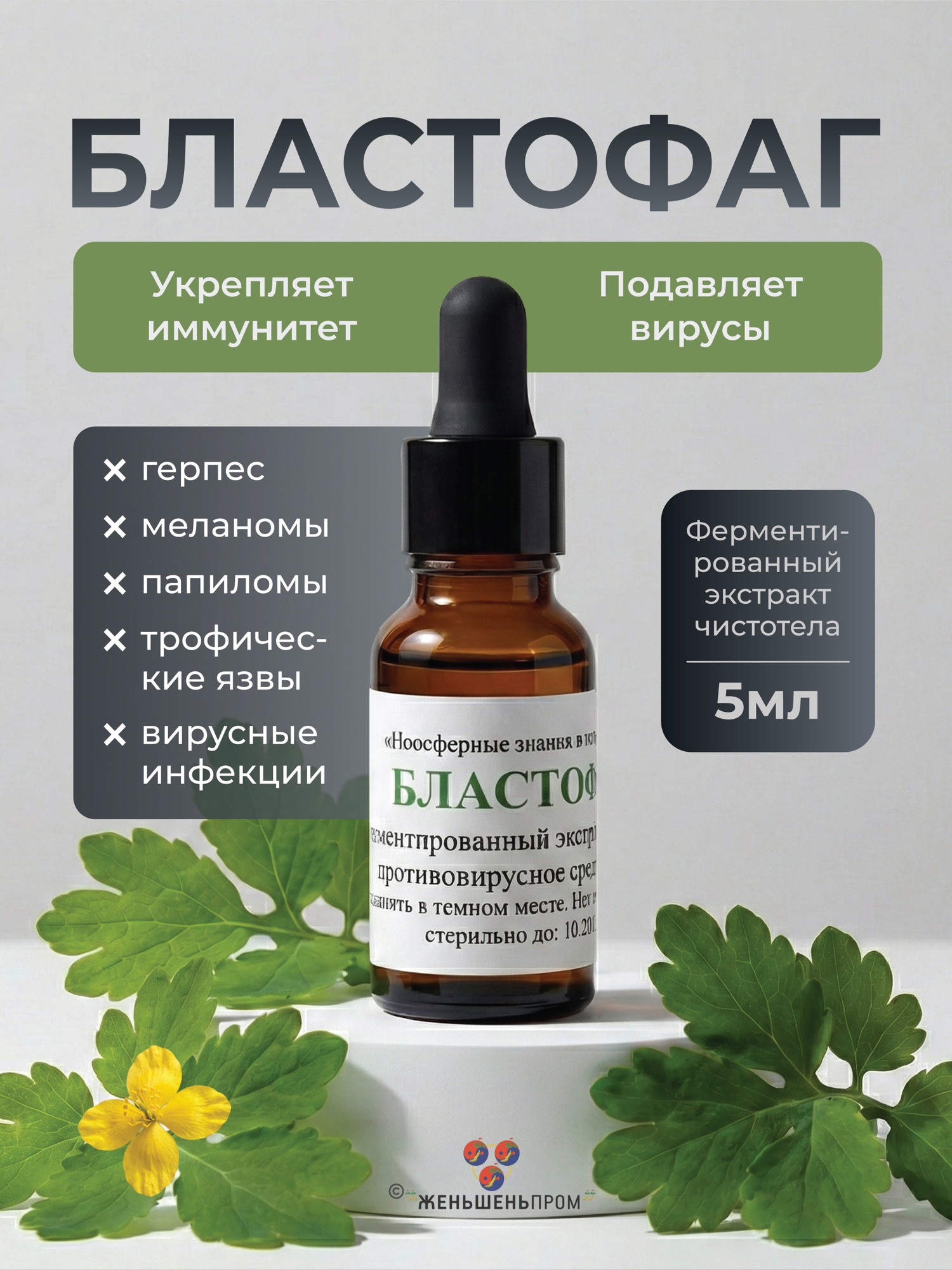 Бластофаг: финальный дизайн, слайд 1